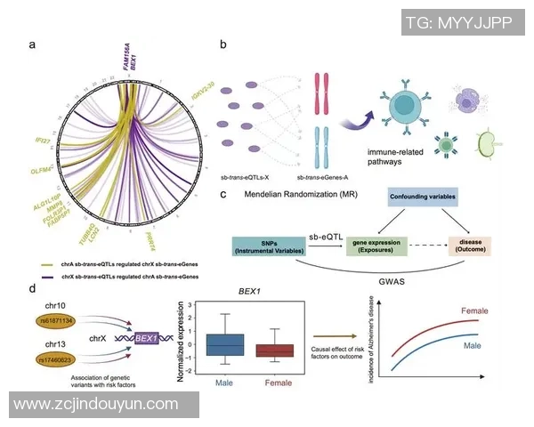 RNG在Major赛中的团队配合分析与表现评估 RNG在Major赛中的团队配合分析与表现评估