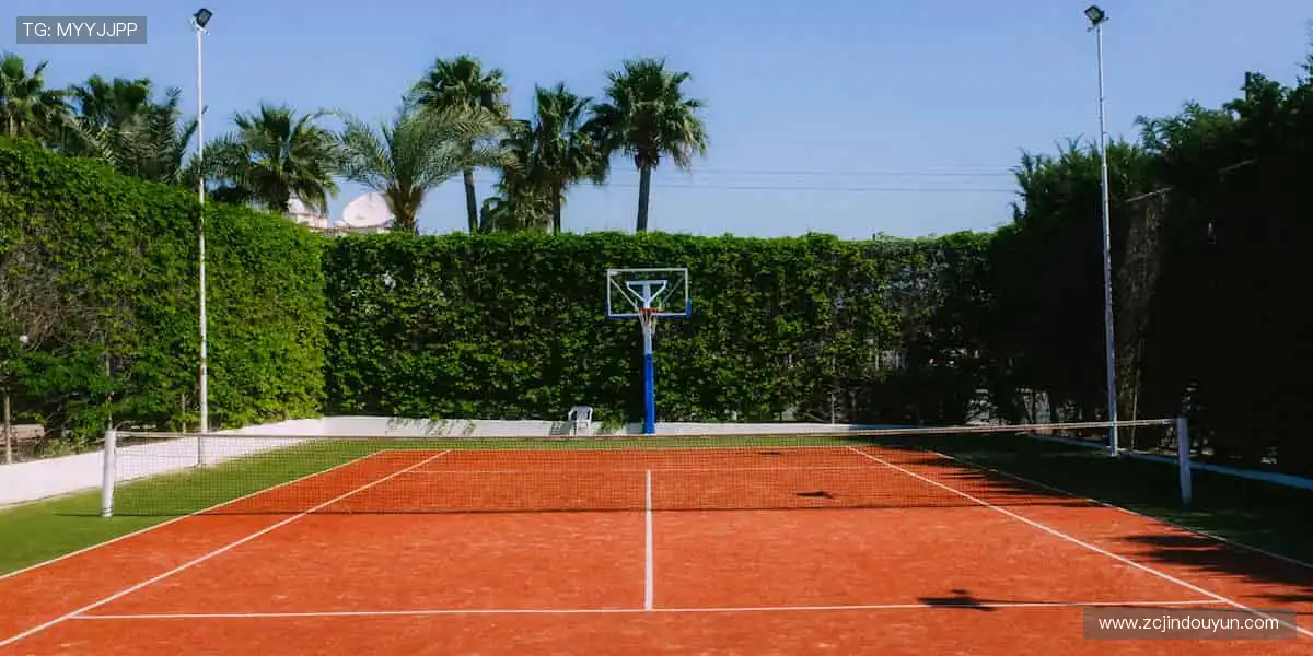 📱 指尖轻点，全球赛事实时掌控！🎥